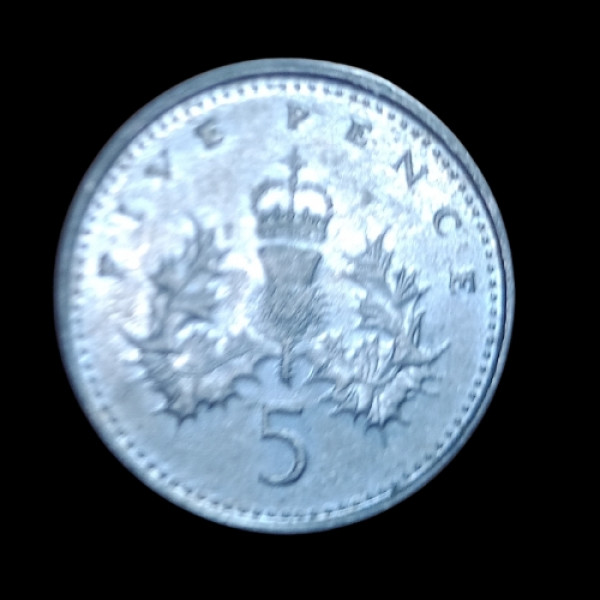 5 new pence Elizabeth II (1996) - UK