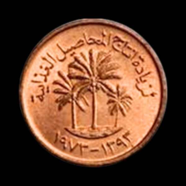 UAE Joseph Kunapally Coin - 2005